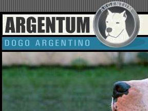 Dogos Argentinos Argentum