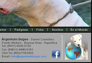 Dogos Argentinos Argentum